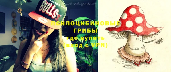 гашик Алзамай
