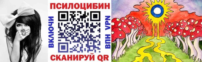 Галлюциногенные грибы Psilocybe купить наркотики сайты Лукоянов